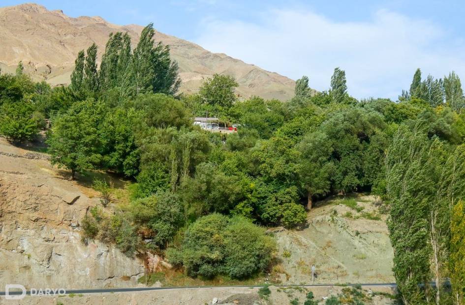 O‘zbekistonda 30-aprelda 35 darajagacha issiq bo‘ladi